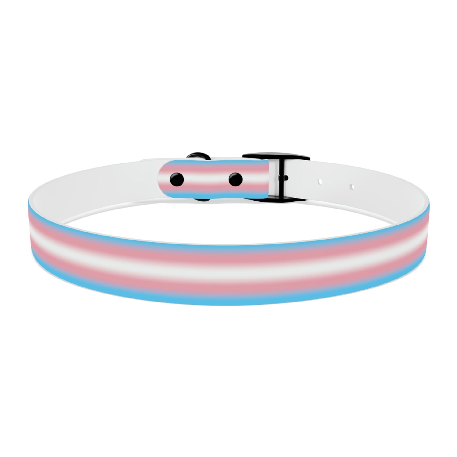 Transgender Trans Pride Dog Collar 4df843e0f20f70fab286dd474d833d19