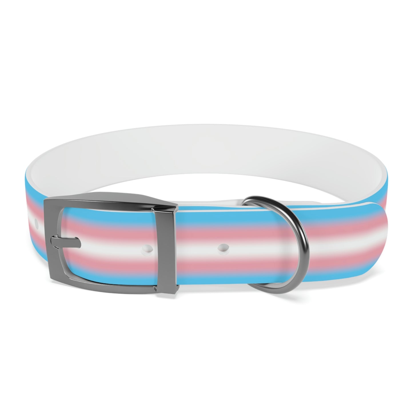 Transgender Trans Pride Dog Collar M Gun Metal Transgender 6686bbe57995fa1b8af7f3c702a57771