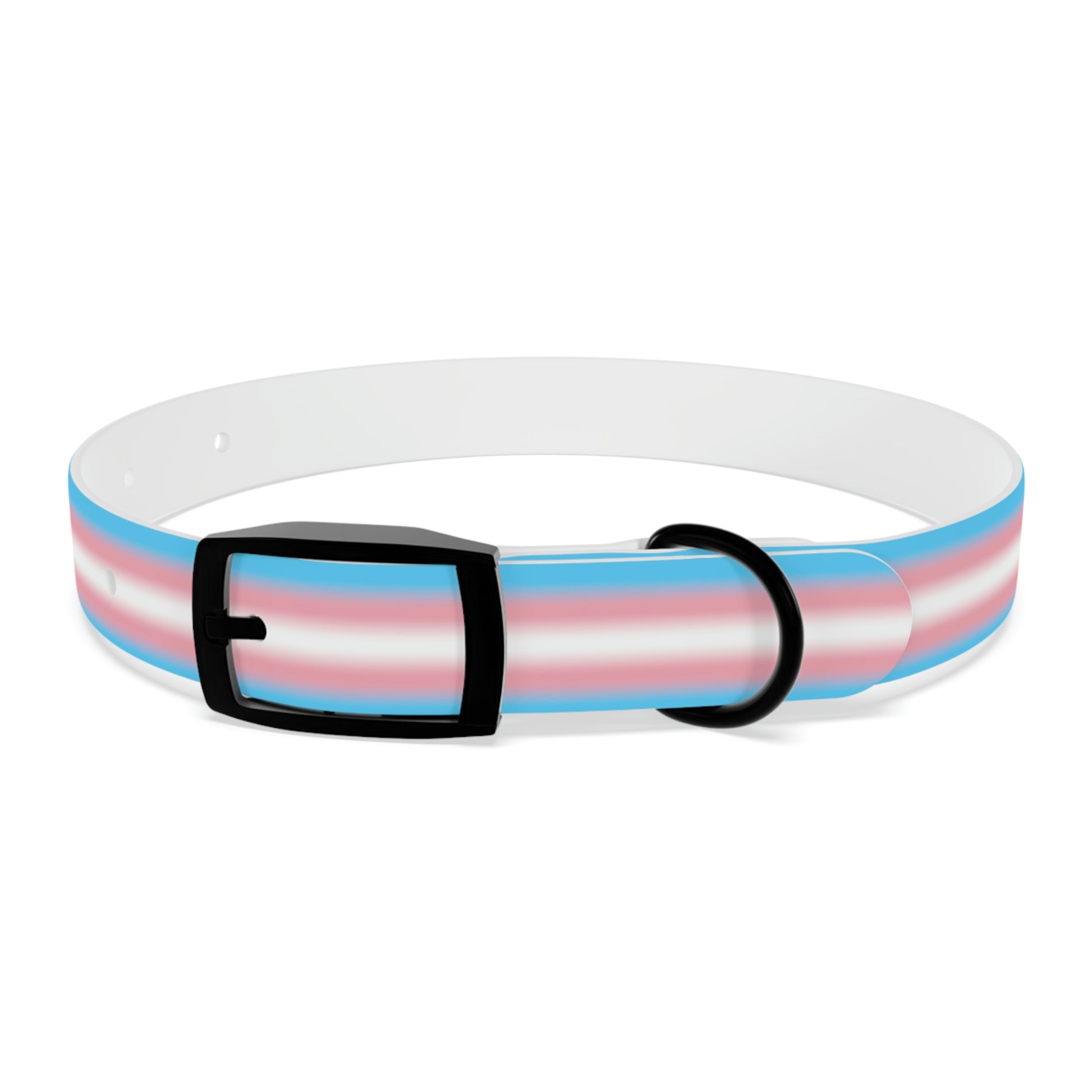 Transgender Trans Pride Dog Collar S Black Onyx Transgender 73d0c9fabcba7d00a909f06ef90329c9