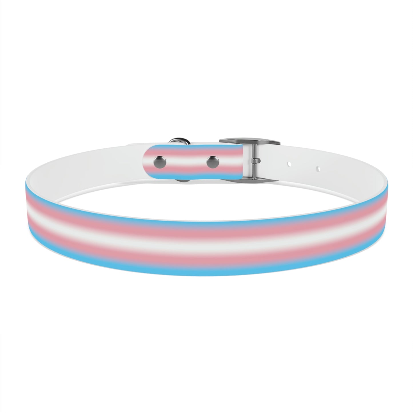 Transgender Trans Pride Dog Collar 77c912b62b0d33011091f89fe3531be0