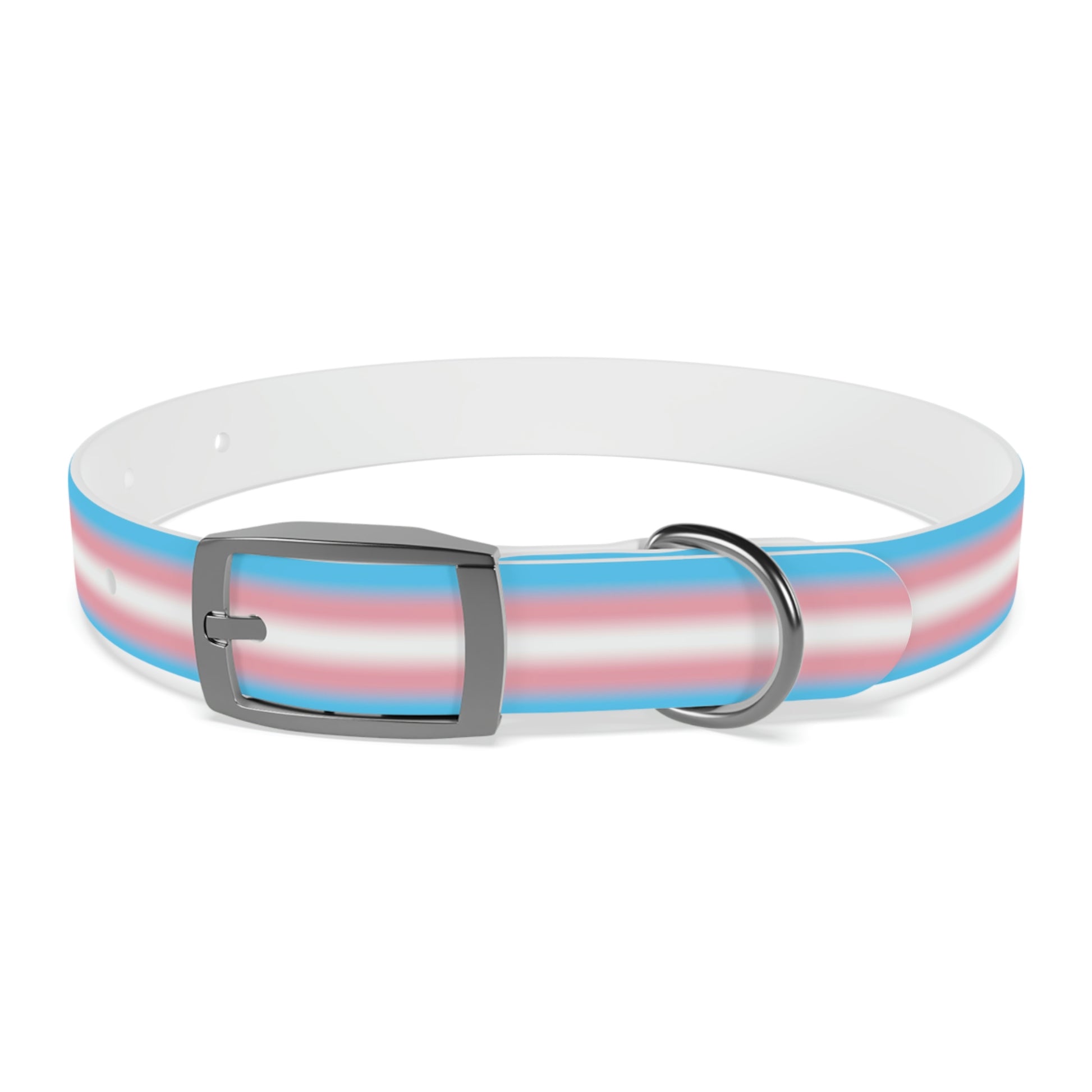 Transgender Trans Pride Dog Collar S Gun Metal Transgender 7961a66bf25657d5b731b911ba725807