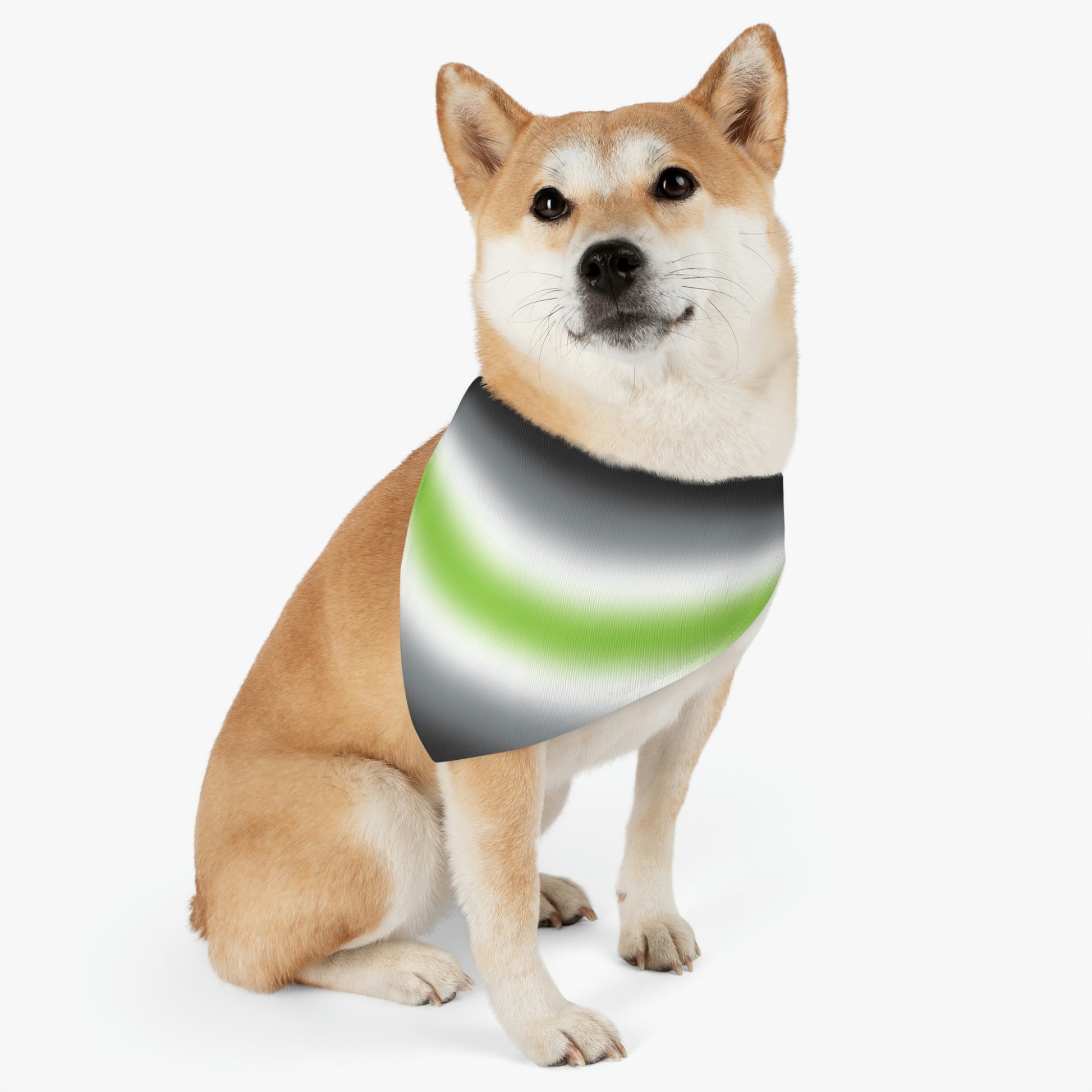 Agender Pride Pet Bandana with Collar in Ombre 8304414e4041ec006aa4460002744473