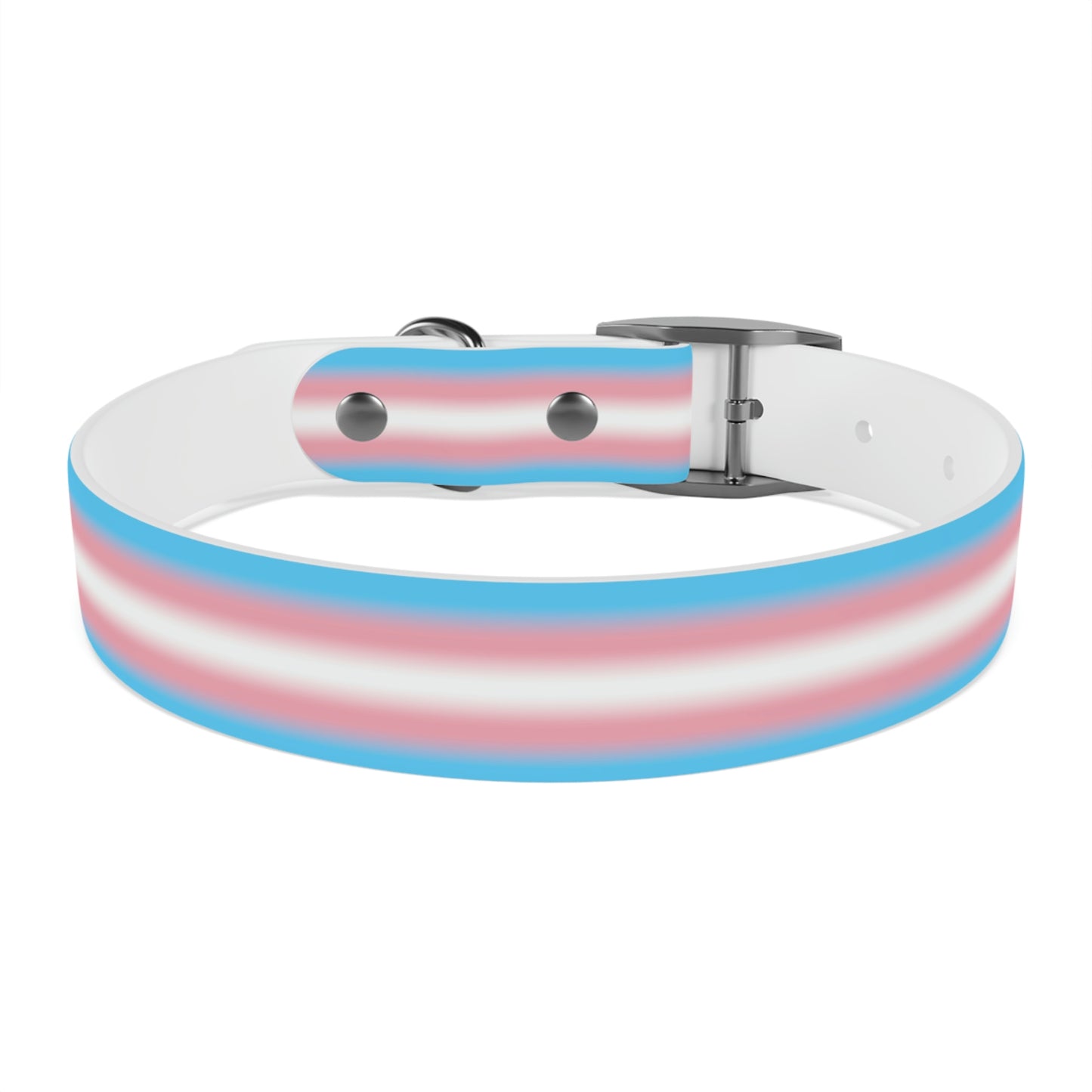 Transgender Trans Pride Dog Collar 83e2d6a7333762b665175d2e48c25226