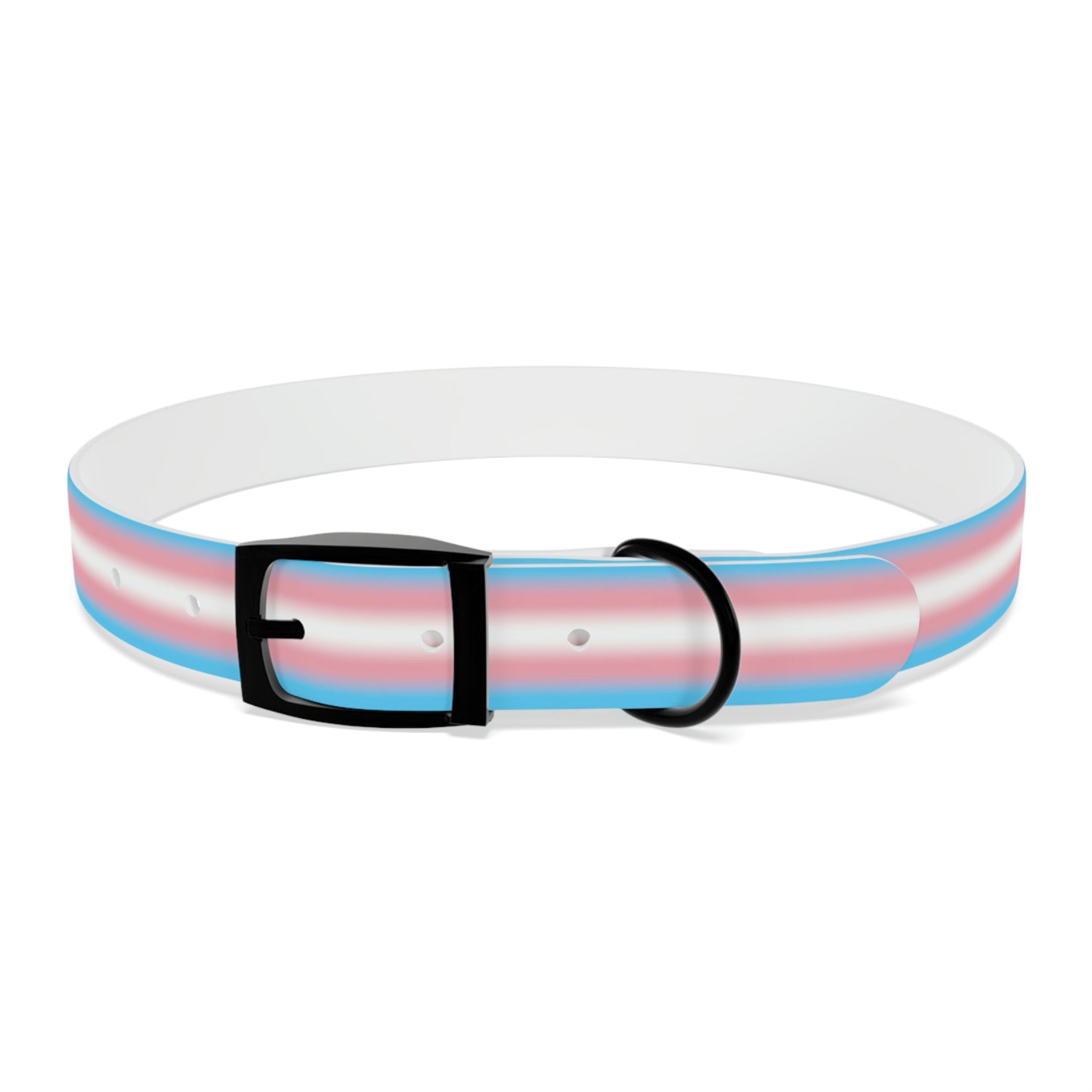 Transgender Trans Pride Dog Collar XL Black Onyx Transgender 94b5b122223477e2fd9de9180d695d5a