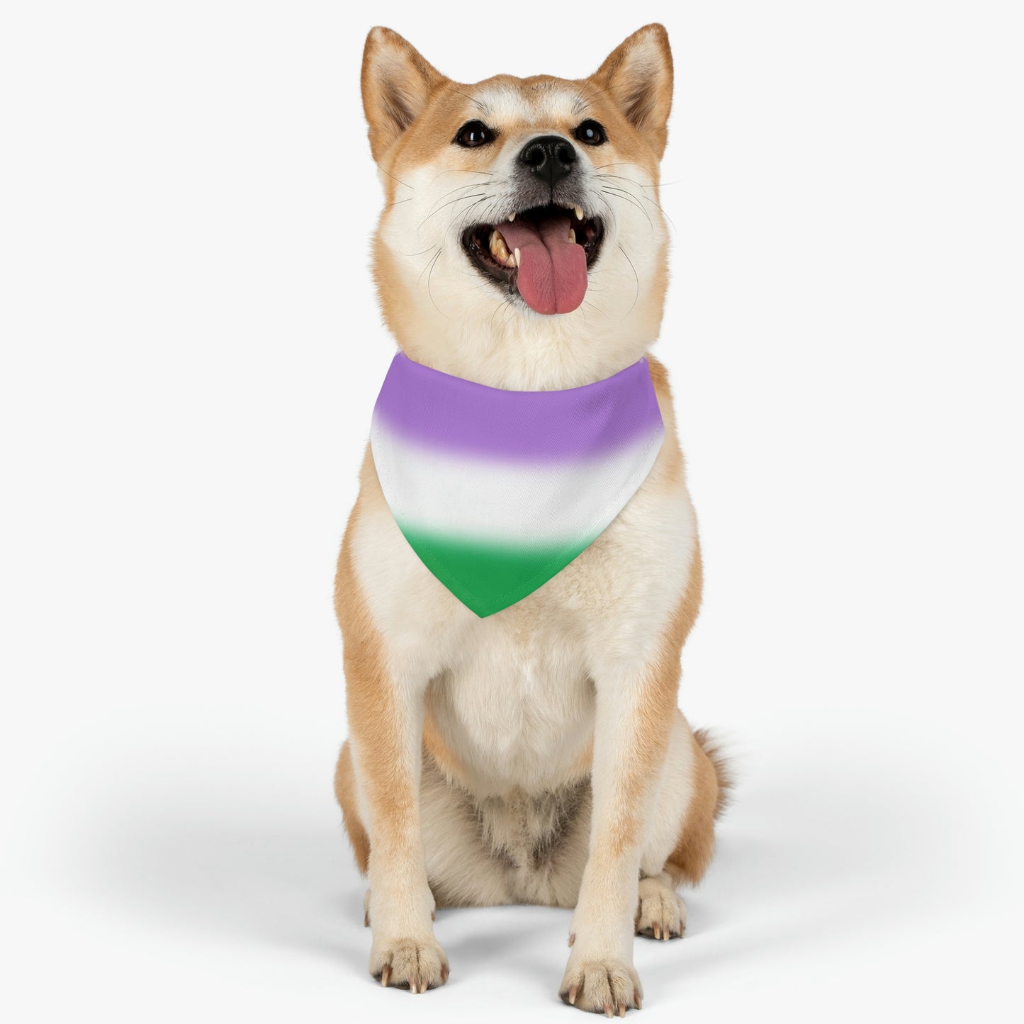 Genderqueer Pride Pet Bandana with Collar 9cee7a29c5ff0f43af8a42f079430b00