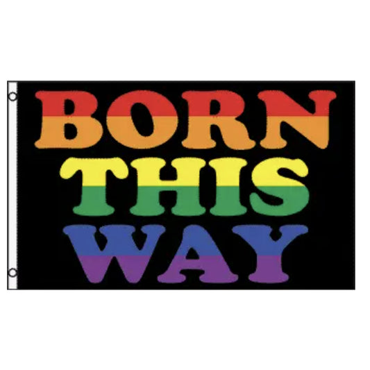 LGBTQ Pride Flag 3x5 - Born This Way Pride 3x5 BornThisWayFlag3x5