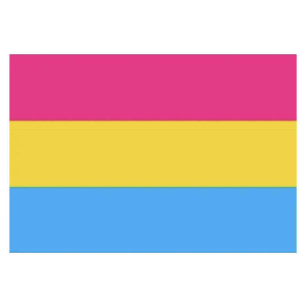 Pansexual Pan Pride Flag 3x5 Pansexual 3x5 Pansexual-pan-pride-Flag