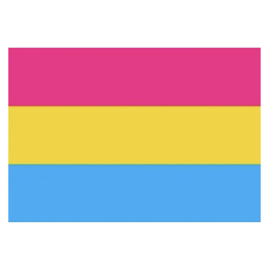 Pansexual Pan Pride Flag 3x5 Pansexual 3x5 Pansexual-pan-pride-Flag