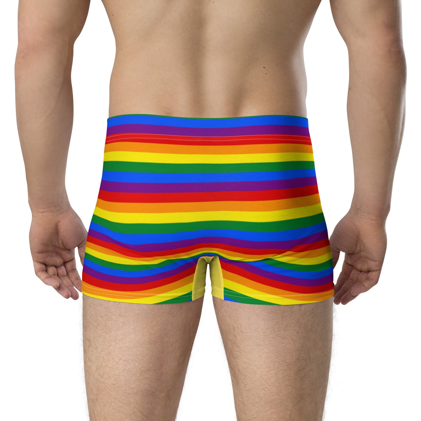 LGBTQ Pride Boxer Briefs Underwear all-over-print-boxer-briefs-white-back-6379a2298b359