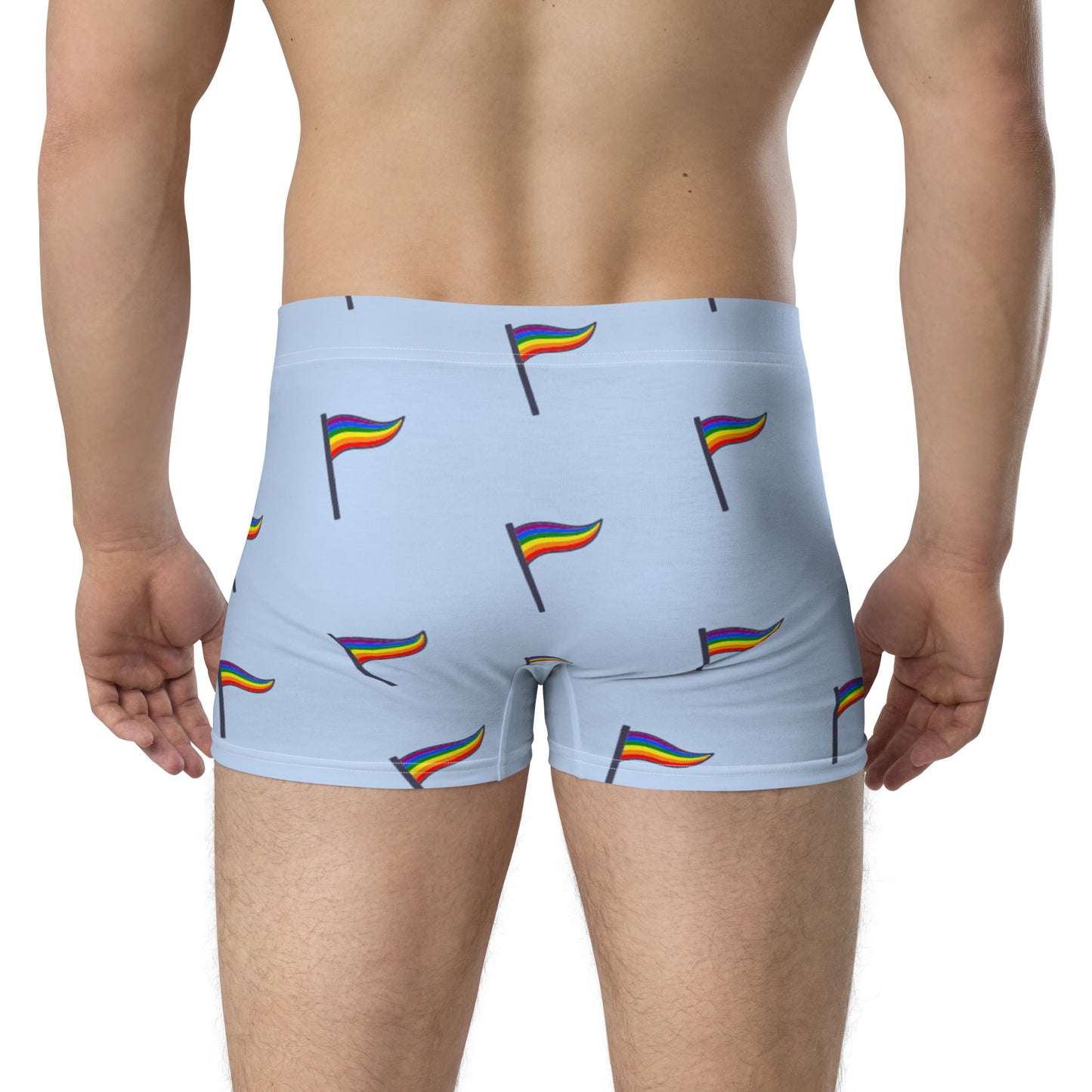 LGBTQ Pride Boxer Briefs Underwear - Flags all-over-print-boxer-briefs-white-back-6379a8b1caf90