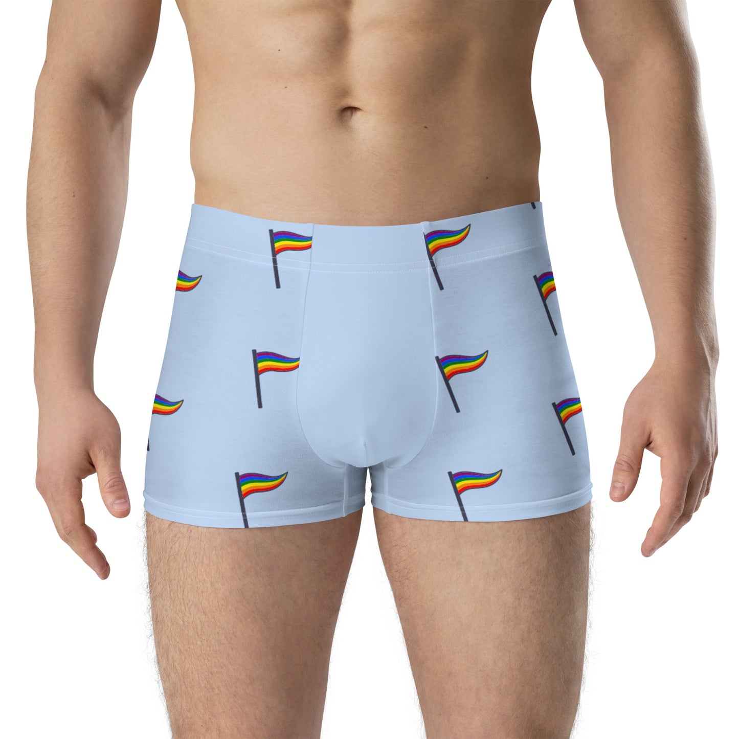 LGBTQ Pride Boxer Briefs Underwear - Flags all-over-print-boxer-briefs-white-front-6379a8b1cb2ef