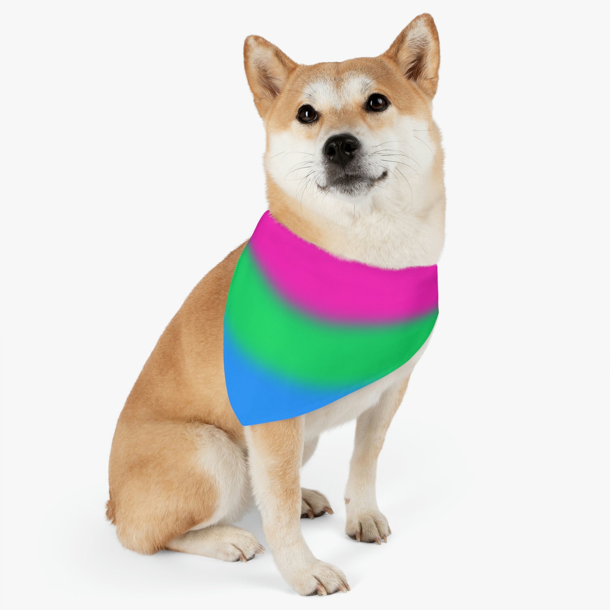 Polysexual Poly Pride Pet Bandana with Collar bf49f29449e63677121058e6ad588a1c