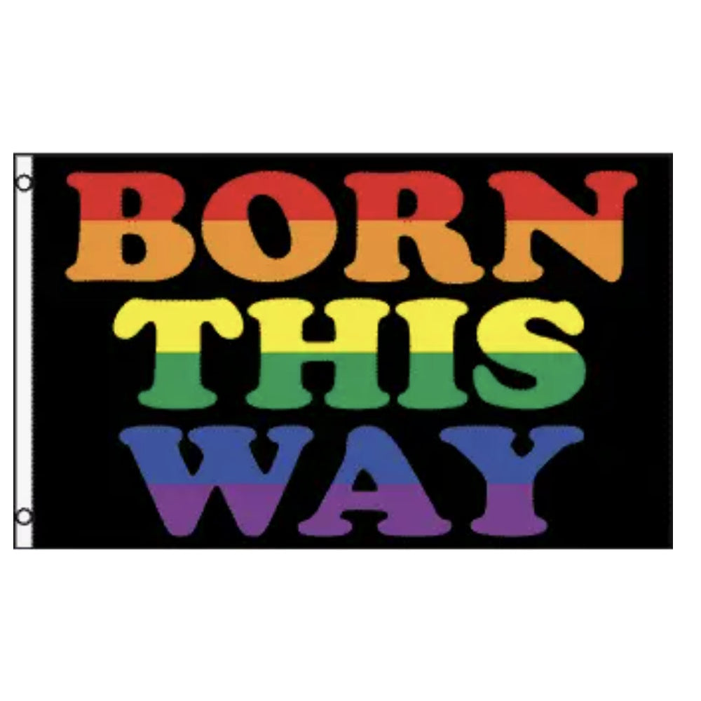 LGBTQ Pride Flag 3x5 - Born This Way Pride 3x5 lgbtq-Born-This-Way-pride-Flag