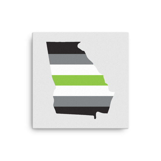 Georgia Agender Pride Canvas Wall Art 12in×12in Agender Georgia thin-canvas-_in_-12x12-front-639262f3148e8