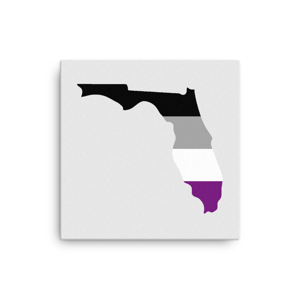 Florida Asexual Pride Canvas Wall Art 12in×12in Asexual Florida thin-canvas-_in_-12x12-front-63991fe3b07d1