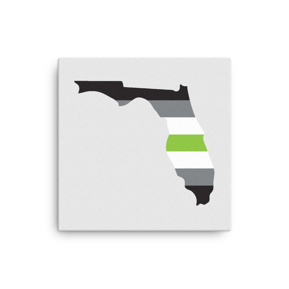 Florida Agender Pride Canvas Wall Art 12in×12in Agender Florida thin-canvas-_in_-12x12-front-6399204692b57