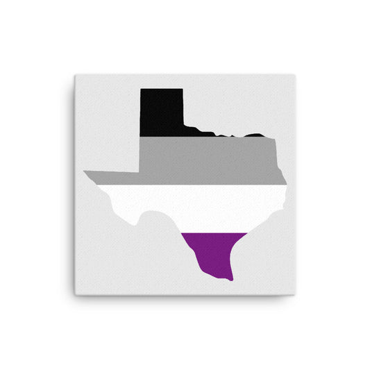 Texas Asexual Ace Pride Canvas Wall Art 12in×12in Asexual Texas thin-canvas-_in_-12x12-front-63eac1ded6b48