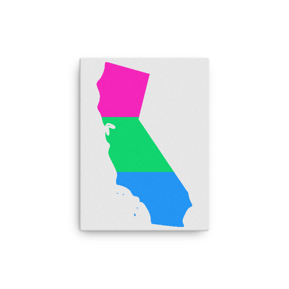 California Polysexual Poly Pride Canvas Wall Art 12in×16in Polysexual California thin-canvas-_in_-12x16-front-638eada4a960c