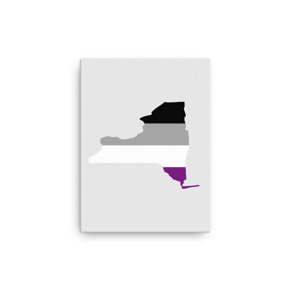 New York Asexual Ace Pride Canvas Wall Art 12in×16in Asexual New York thin-canvas-_in_-12x16-front-638fd6d076297