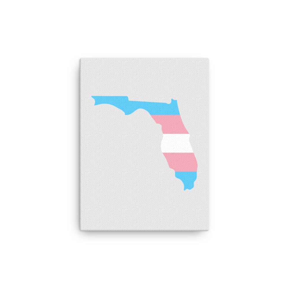 Florida Transgender Trans Pride Canvas Wall Art 12in×16in Transgender Florida thin-canvas-_in_-12x16-front-63991ac46e112