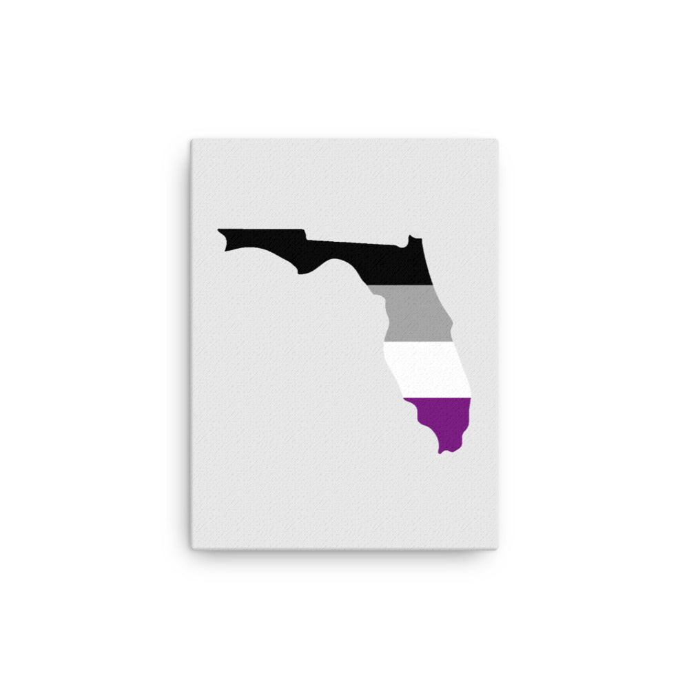 Florida Asexual Pride Canvas Wall Art 12in×16in Asexual Florida thin-canvas-_in_-12x16-front-63991fe3b1bf1