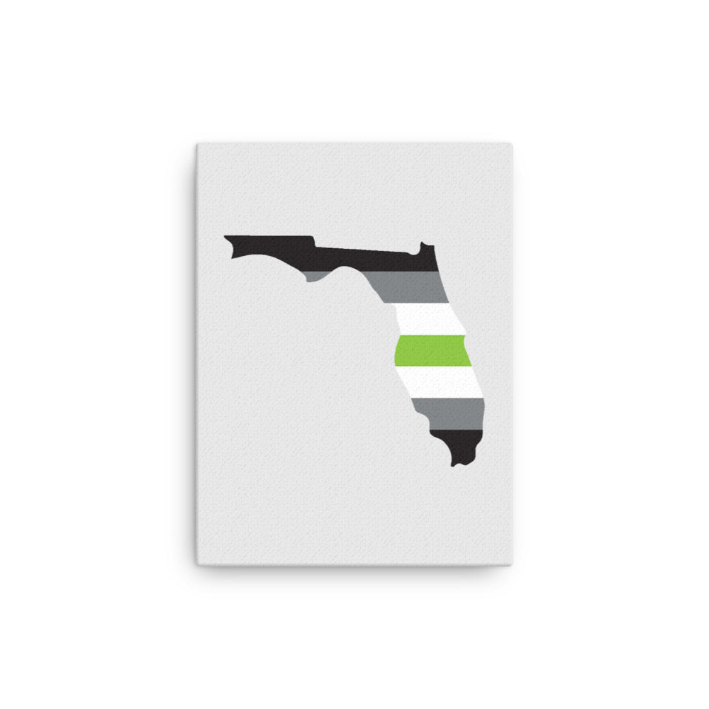 Florida Agender Pride Canvas Wall Art 12in×16in Agender Florida thin-canvas-_in_-12x16-front-639920469402c