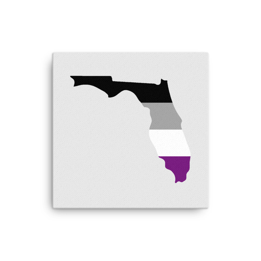 Florida Asexual Pride Canvas Wall Art 16in×16in Asexual Florida thin-canvas-_in_-16x16-front-63991fe3b1c9a