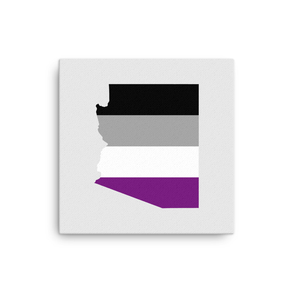 Arizona Asexual Pride Canvas Wall Art 16in×16in Asexual Arizona thin-canvas-_in_-16x16-front-63ab8ce65773a