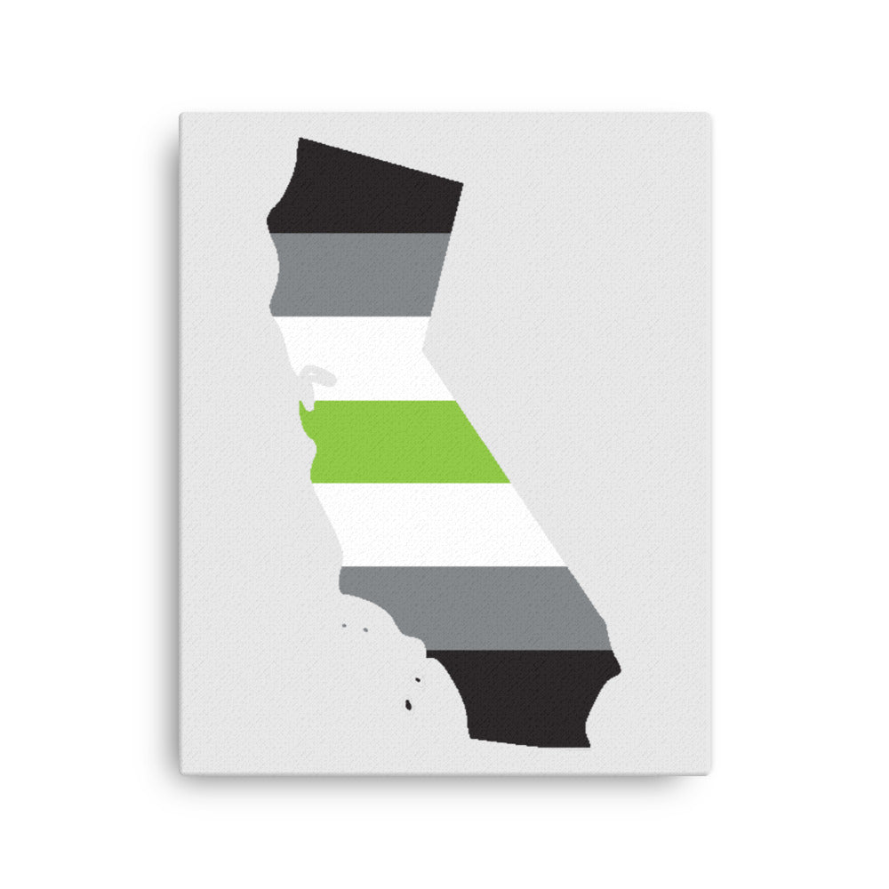 California Agender Pride Canvas Wall Art 16in×20in Agender California thin-canvas-_in_-16x20-front-638eaac84ce2e