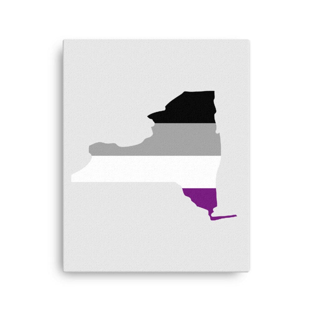 New York Asexual Ace Pride Canvas Wall Art 16in×20in Asexual New York thin-canvas-_in_-16x20-front-638fd6d076442