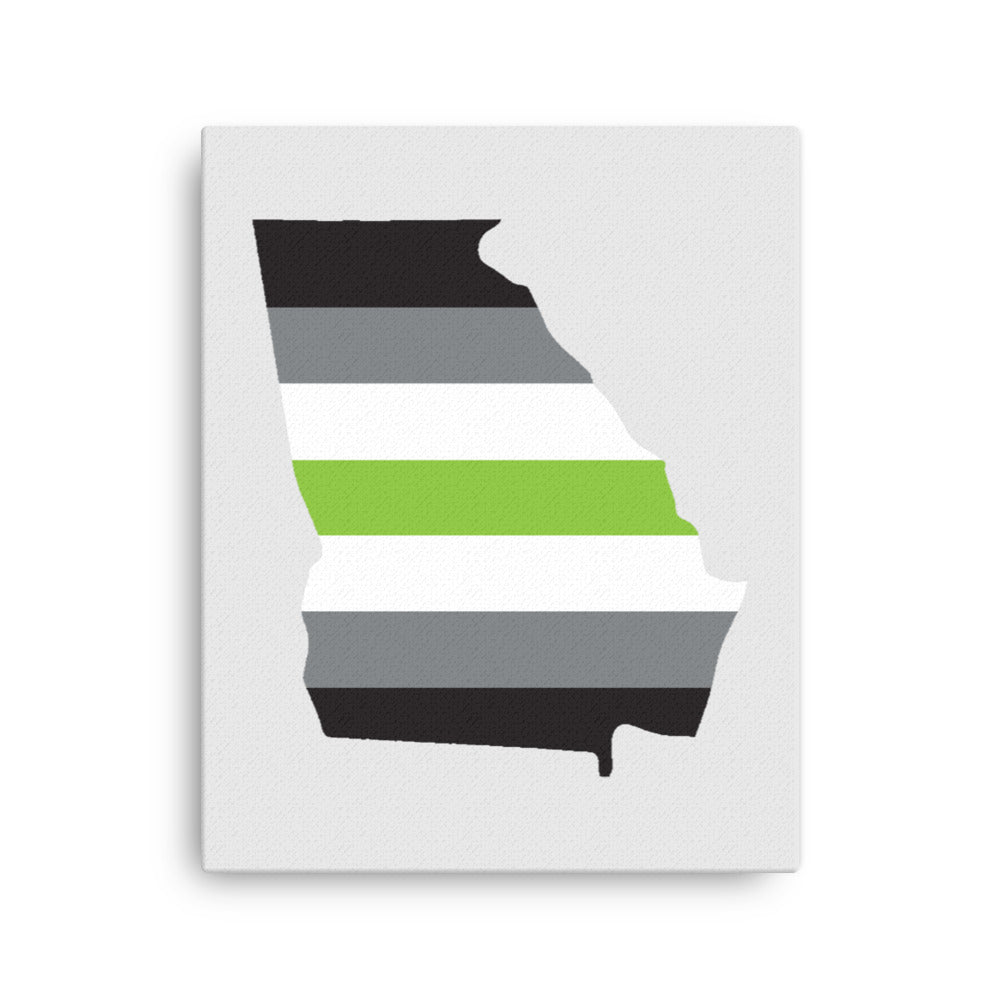 Georgia Agender Pride Canvas Wall Art 16in×20in Agender Georgia thin-canvas-_in_-16x20-front-639262f316ab4