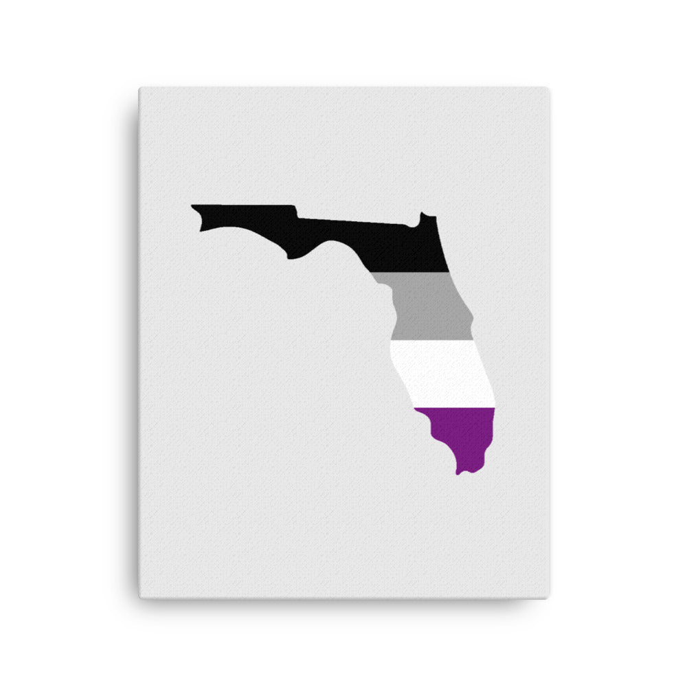 Florida Asexual Pride Canvas Wall Art 16in×20in Asexual Florida thin-canvas-_in_-16x20-front-63991fe3b1d1f