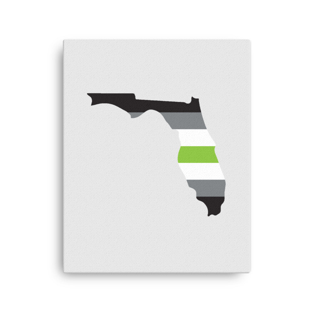 Florida Agender Pride Canvas Wall Art 16in×20in Agender Florida thin-canvas-_in_-16x20-front-639920469416b