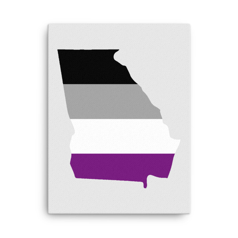 Georgia Asexual Ace Pride Canvas Wall Art 18in×24in Asexual Georgia thin-canvas-_in_-18x24-front-6392621546094