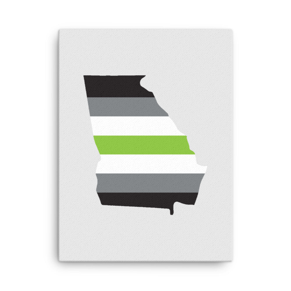 Georgia Agender Pride Canvas Wall Art 18in×24in Agender Georgia thin-canvas-_in_-18x24-front-639262f316b27