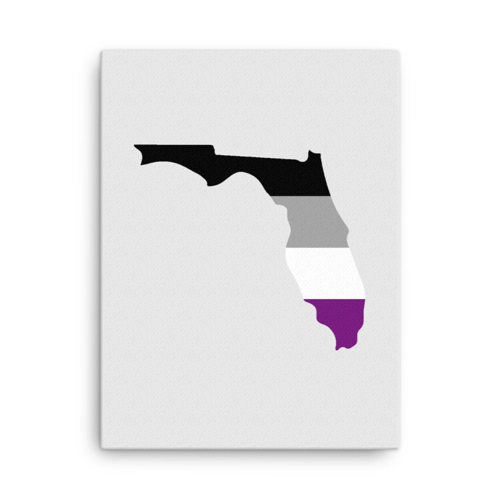 Florida Asexual Pride Canvas Wall Art 18in×24in Asexual Florida thin-canvas-_in_-18x24-front-63991fe3b1da1