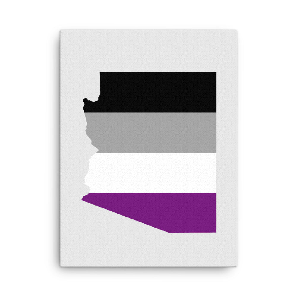 Arizona Asexual Pride Canvas Wall Art 18in×24in Asexual Arizona thin-canvas-_in_-18x24-front-63ab8ce65791f