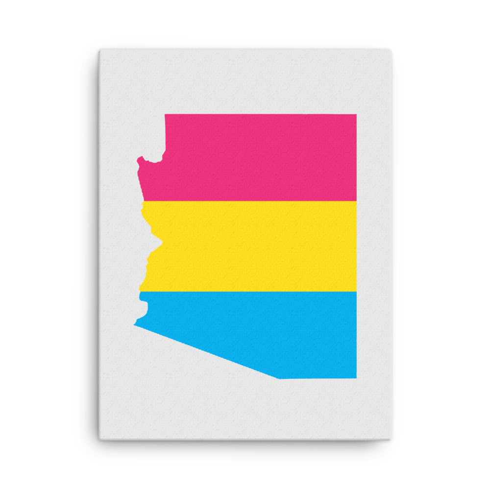 Arizona Pansexual Pan Pride Canvas Wall Art 18in×24in Pansexual Arizona thin-canvas-_in_-18x24-front-63acee5a04fd9