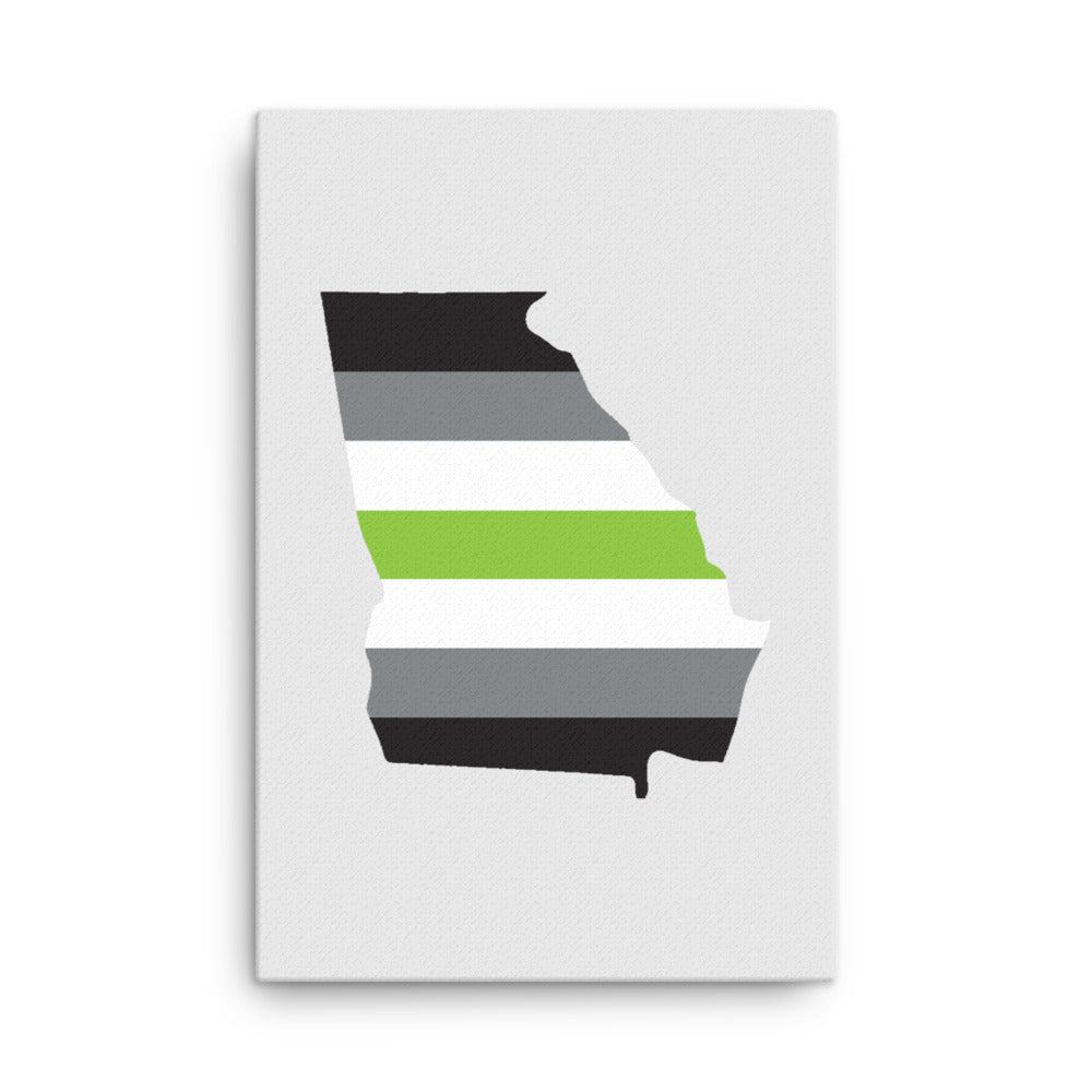 Georgia Agender Pride Canvas Wall Art 24in×36in Agender Georgia thin-canvas-_in_-24x36-front-639262f316b95