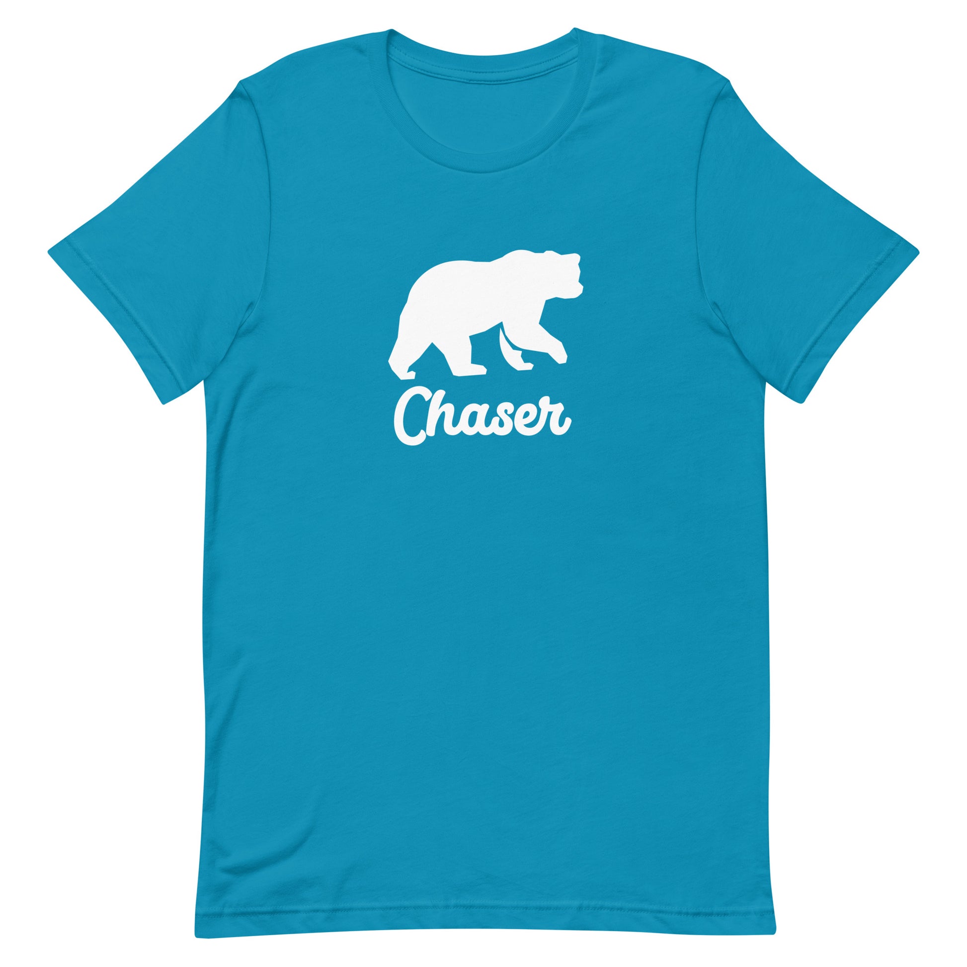 Gay Bear T-Shirt, Bear Pride Outfit, Gay Pride Bear