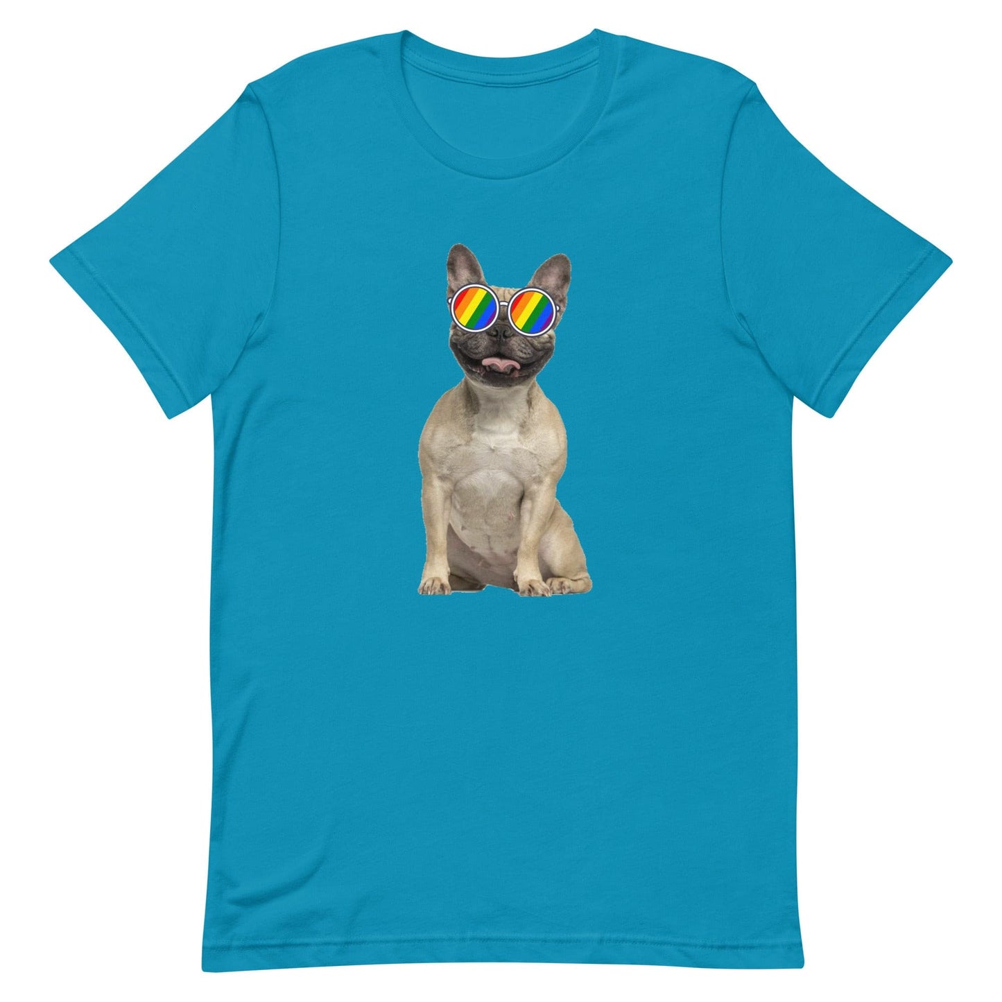 LGBTQ Pride T-Shirt - Frenchie Aqua Pride unisex-staple-t-shirt-aqua-front-63ebc52e8b0cf