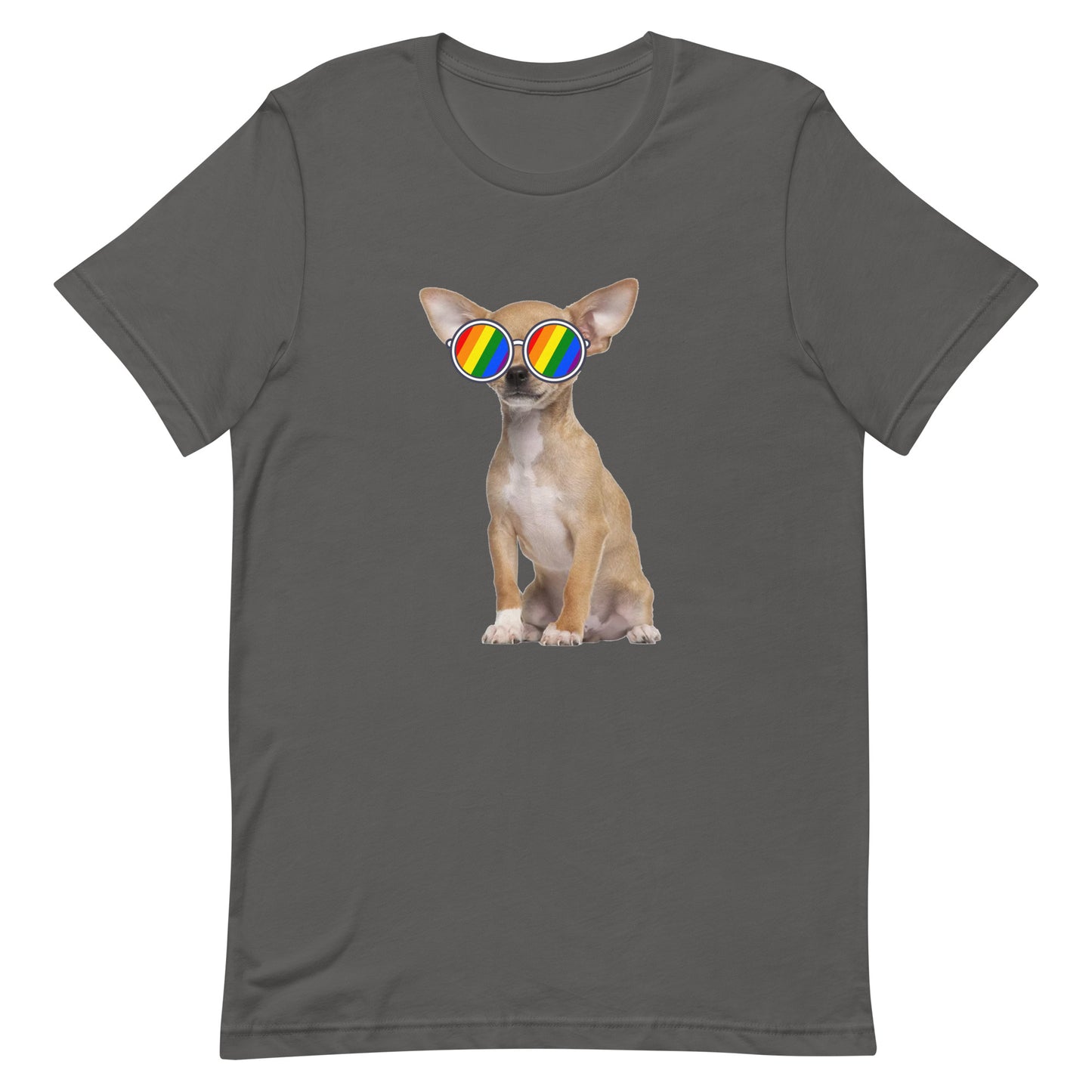 LGBTQ Pride T-Shirt - Chihuahua Asphalt unisex-staple-t-shirt-asphalt-front-63ebc66f8c301